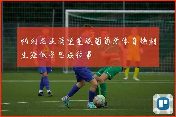 帕利尼亚渴望重返葡萄牙体育热刺生涯似乎已成往事